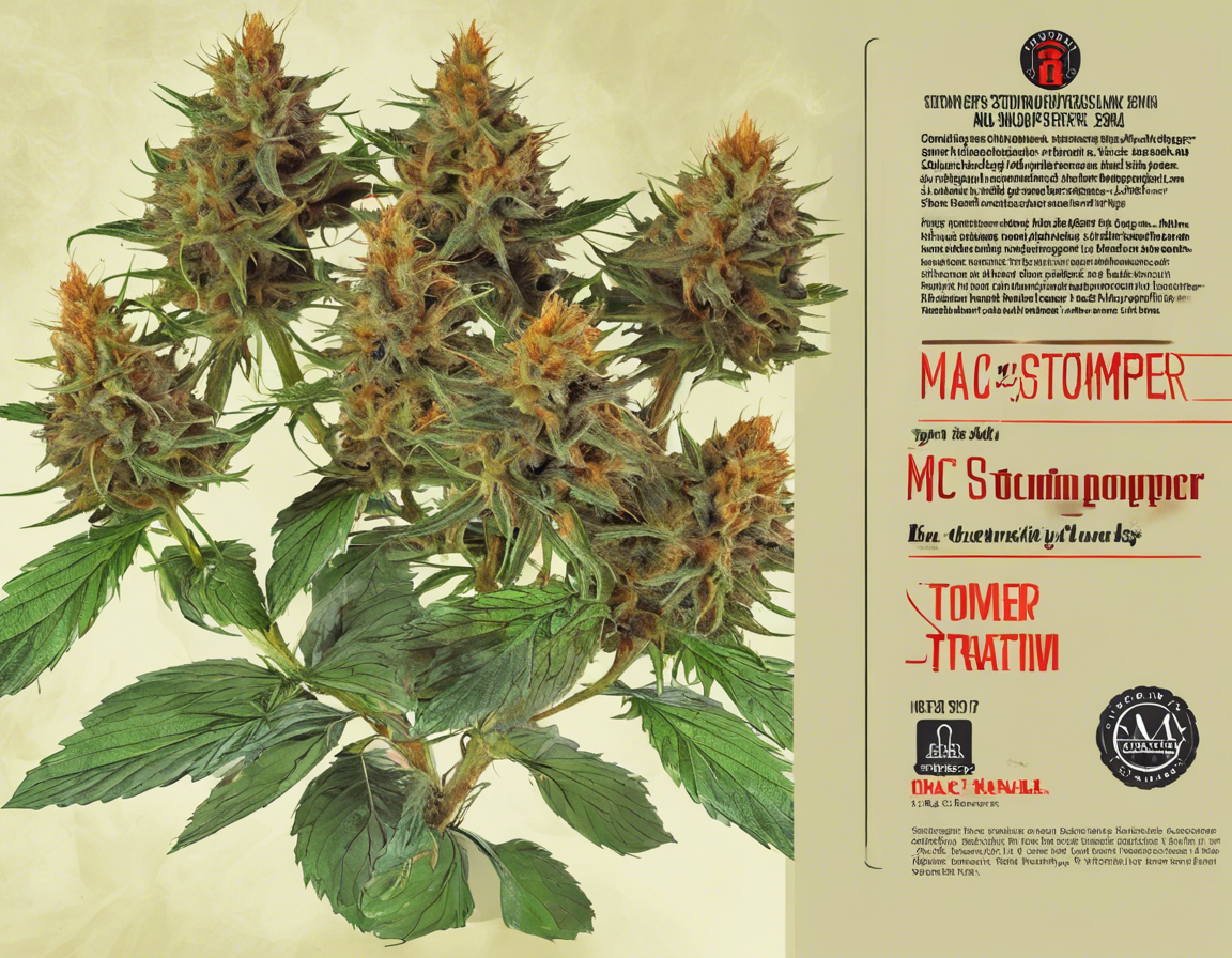 Exploring the Potent Effects of Mac Stomper Strain